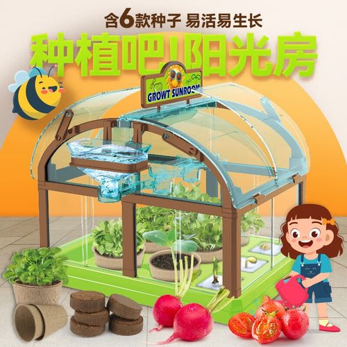 leaun種植陽(yáng)光房diy科學(xué)實(shí)驗(yàn)玩具植物迷你花園種植套裝兒童玩具 陽(yáng)光
